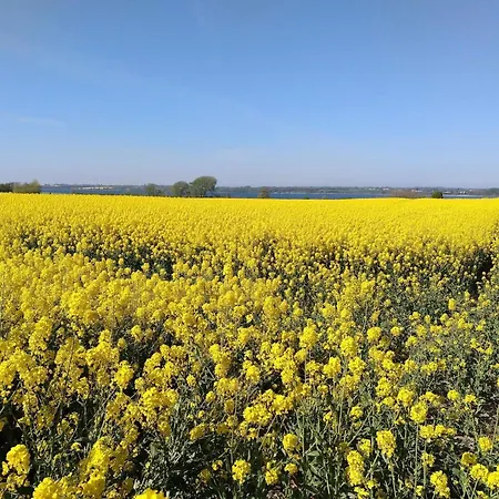 Σπίτι διακοπών 5 Person In Sydals Traenge